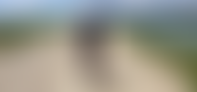 A Rainha e o Cavaleiro.