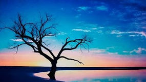 faltando-um-pedaco-eu-caminho