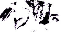 Custom alt text