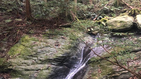 violencia-sutileza-eu-caminho