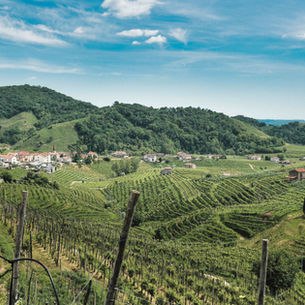 Le COLLINE del PROSECCO