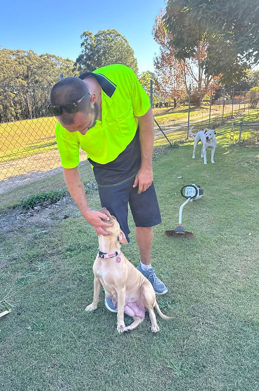Playing with a dog