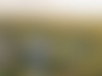 호주 주택시장 둔화를 무색케 하는 지방 핫스폿은 어디?
