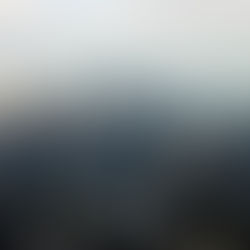 Big Tim's Top 25 in Chicago Area after Week 8!!! Palatine and Lake Zurich join, Lincoln Park and Lincoln Way East drop out!!!!!