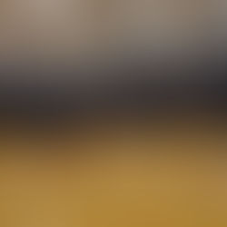 Mr Basketball junior Jaxson Davis brought his team and his show to Evanston Township and had a party at Wildkits expense. Scored his 2000th point!! Top performances in state from last two days!!!