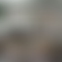 Top performances in Illinois High School basketball tonight!!!!