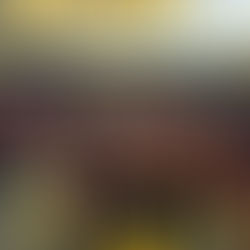 IHSA Boys Regional Title Collage!!!!!