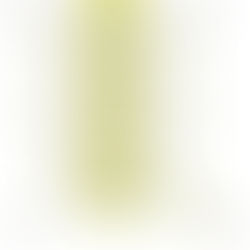 Jack Tosh Holiday Tournament Preview 2023!!!!