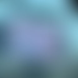 IHSA Boys Basketball State Finals wrap-up!!