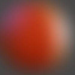 Big Tim’s tentative schedule for February 16-22nd, 2026!!!