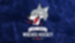 GenericLogo-1024x586.jpg