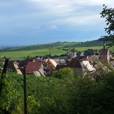 20150917_155940.jpg