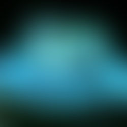 VISITA SAN LUIS POTOS 