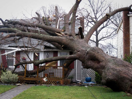A Property Damage Claims Attorney Fighting for What You Deserve: Navigating Claims Against Insurance Companies