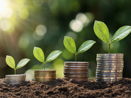AMID GLOBAL PANDEMIC, BIONEUTRA RETURNS TO PROFITABILITY