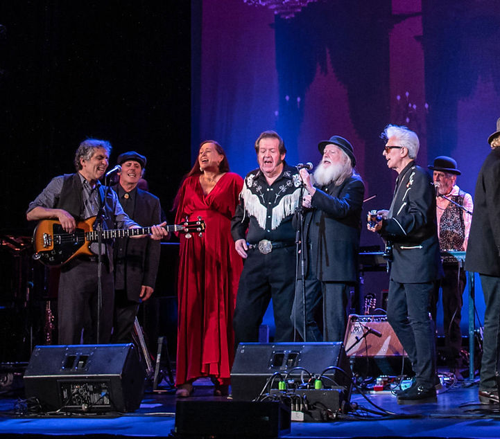 Copy of Last-Waltz-Celebration_edited.jpg