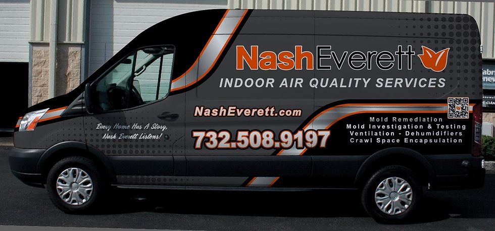 Health Risks Associated with Mold Exposure and How to Stay Safe