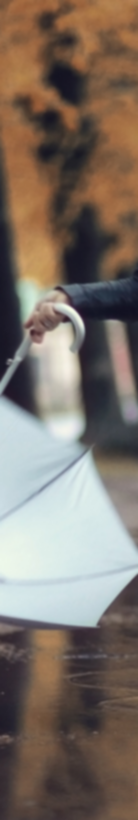 Practically Perfect image.png