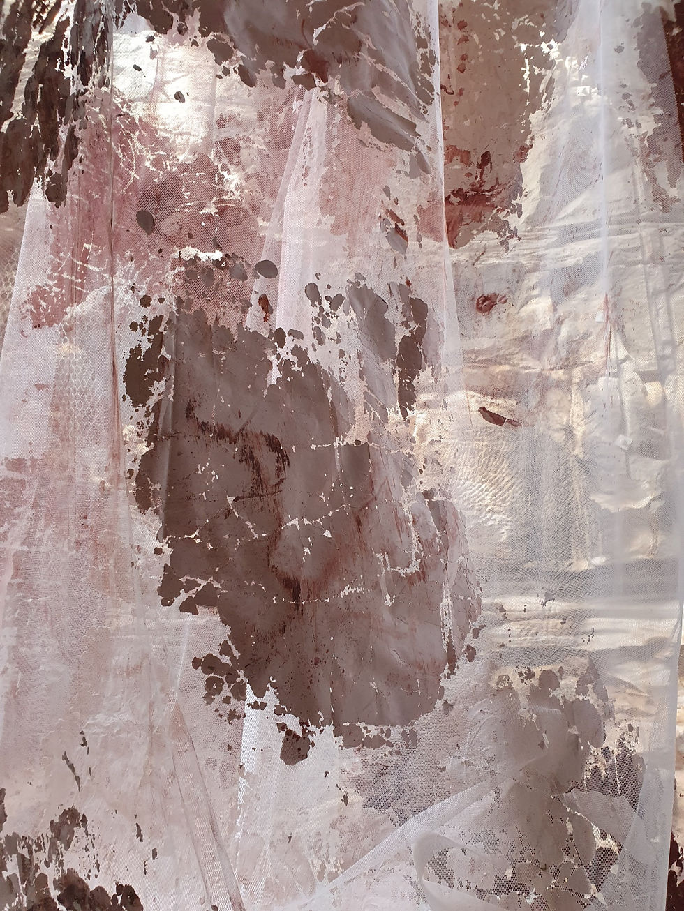 Bungalow Musings: Rivus at the Sydney Biennale