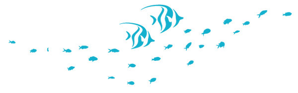 values fish-10-10.png