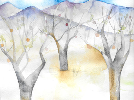 Ghost orchard