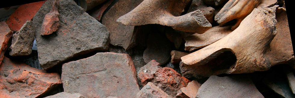 topstrip_rubble_01.jpg