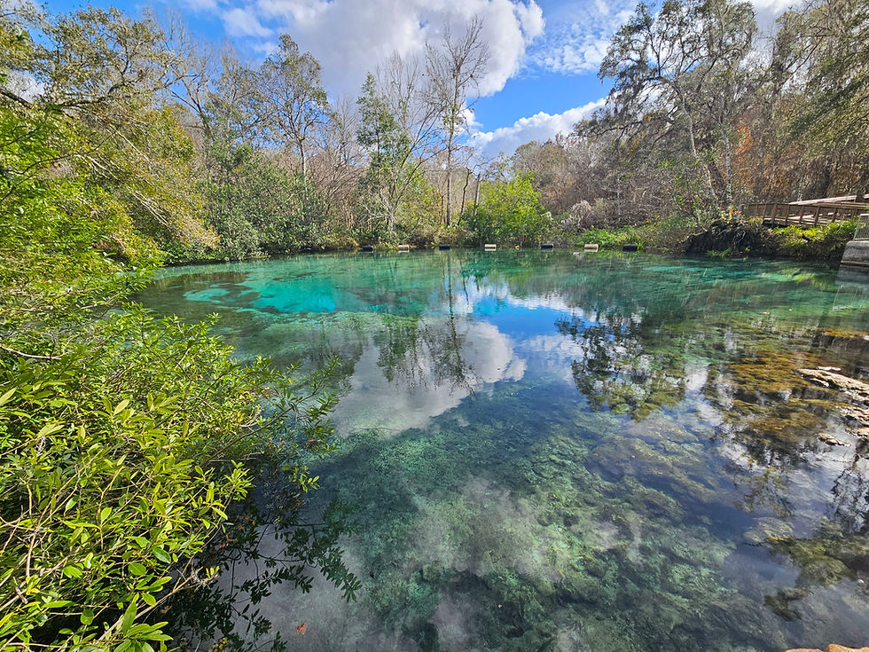 ichetucknee springs, florida