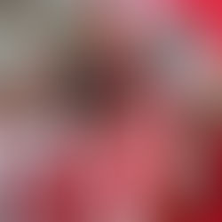 La operación política de Perú Libre