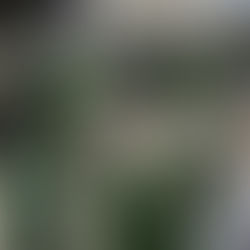 El Perú es ajeno y ancho para los peruanos