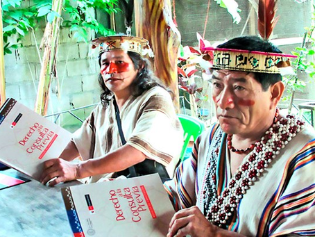 Sectores rechazan sentencia del TC que "desconoce derecho a la consulta"