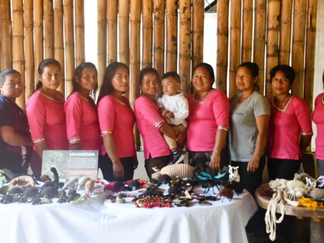 Mujeres amazónicas tejen su independencia económica