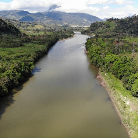 Deforestación en la Amazonía incrementó en los últimos 10 años