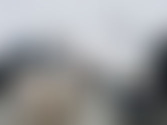 Los imposibles acuerdos de la COP26