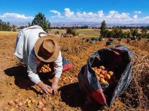 Ejecutivo aprueba los lineamientos para implementar la Segunda Reforma Agraria