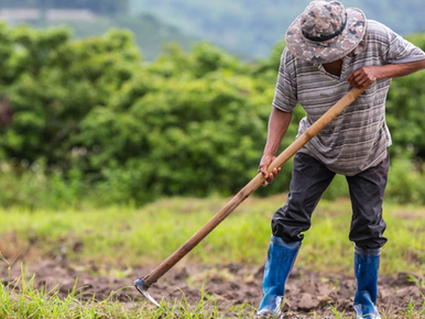 Contraloría emite recomendaciones para entrega eficaz y transparente del "fertibono"