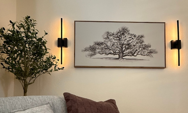Newly renovated living room interior with a couch, red pillow, and painting - a luxury Arizona design by Pediment & Pillar Design.