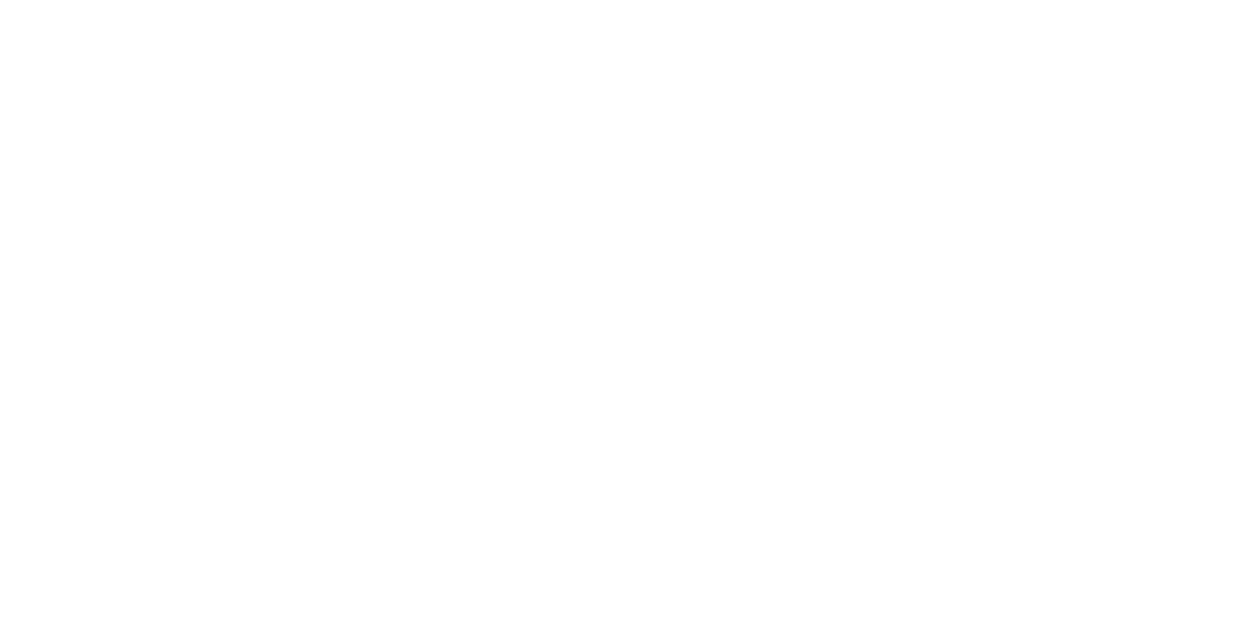 MegaRonn_Type.gif