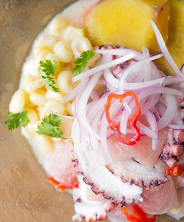 cevichepescadopulpo (1).jpg