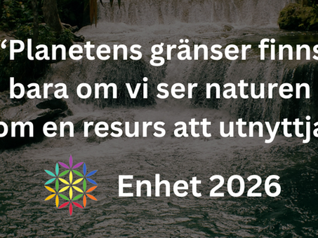 Planetens gränser finns bara om vi ser naturen som en resurs att utnyttja