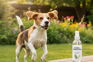 Generated Image September 15, 2025 - 12_48AM.png