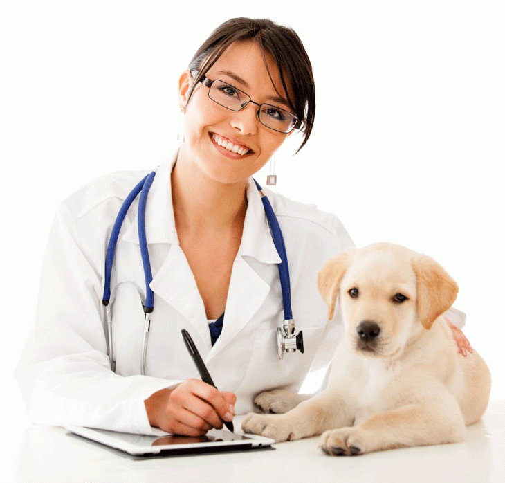 veterinario-1.gif