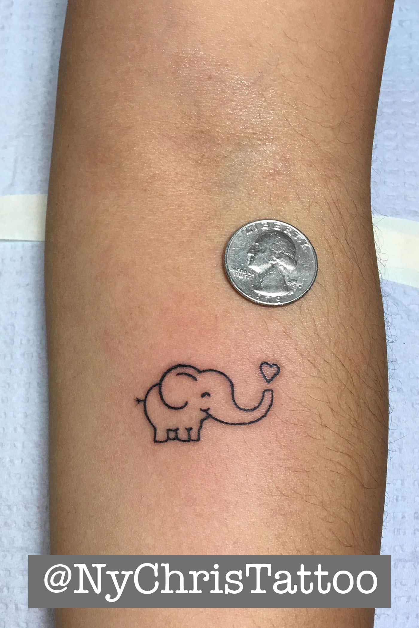 z_elephant 1
