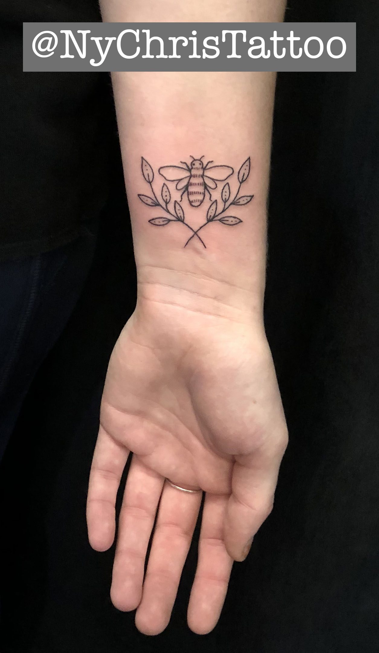 z_bee lines