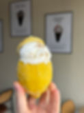 IMG_2469.jpeg