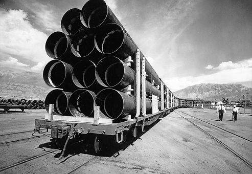 Shell013 resized.jpg