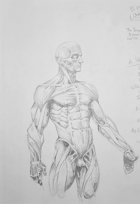 Anatomy_Upper_Body_rev.jpg
