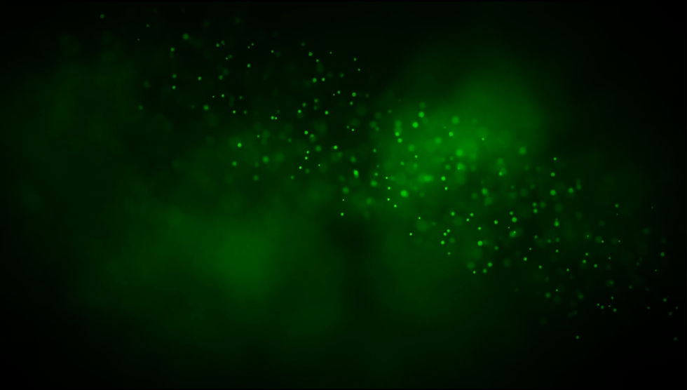 greenbokeh.jpg