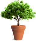 kisspng-tree-planting-arborist-sketch-fl