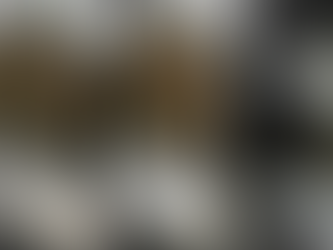 Stainless Steel Wire Manufacturer | High Quality Stainless Steel Wire for Sale