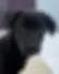 Gwen.webp